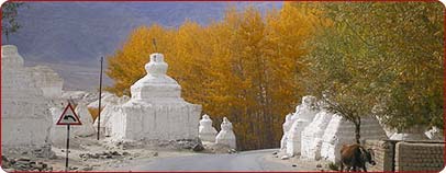 Namgyal Tsemo Gompa