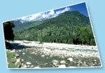 Manali
